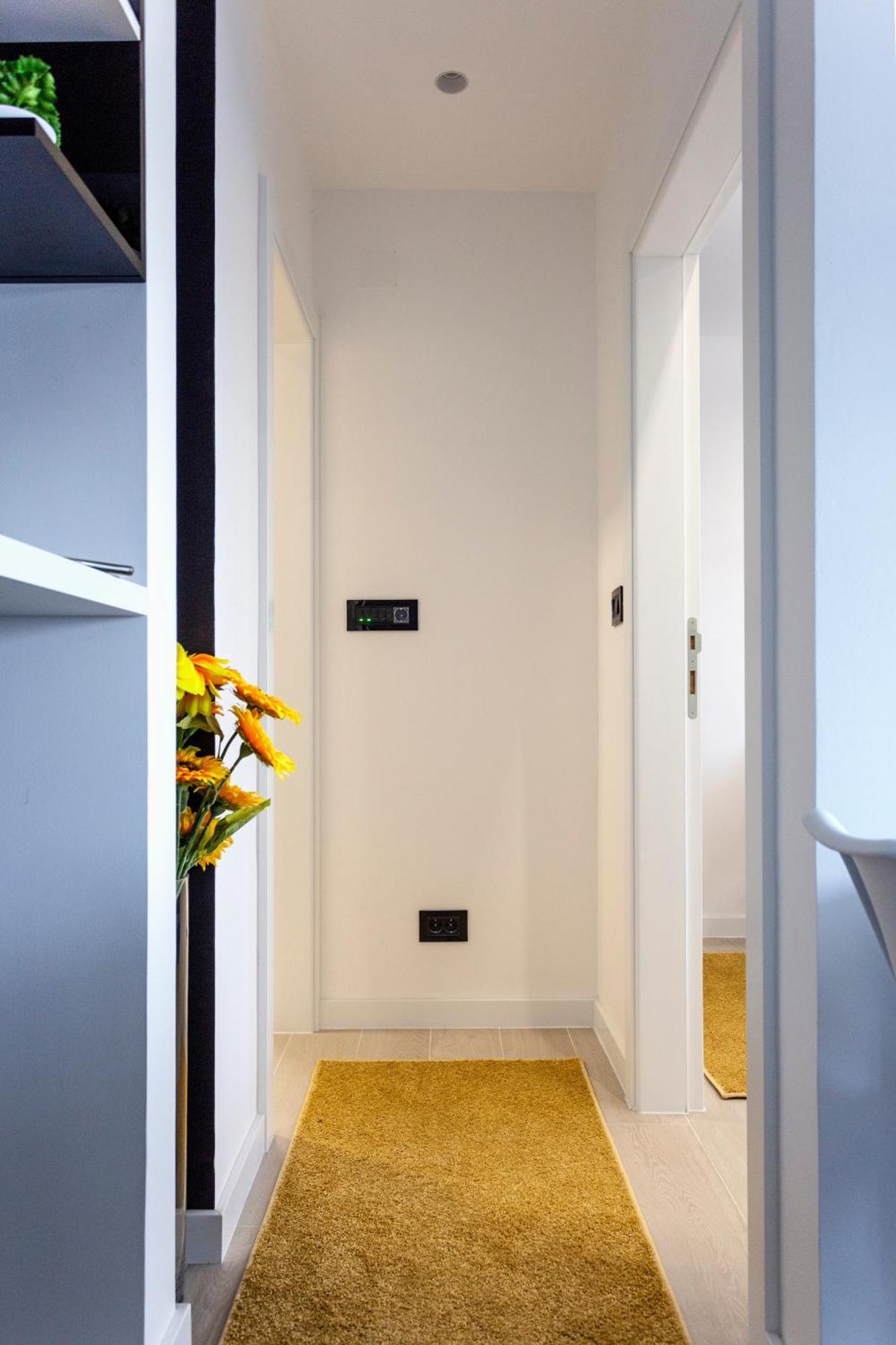 Park Apartment Újvidék Kültér fotó